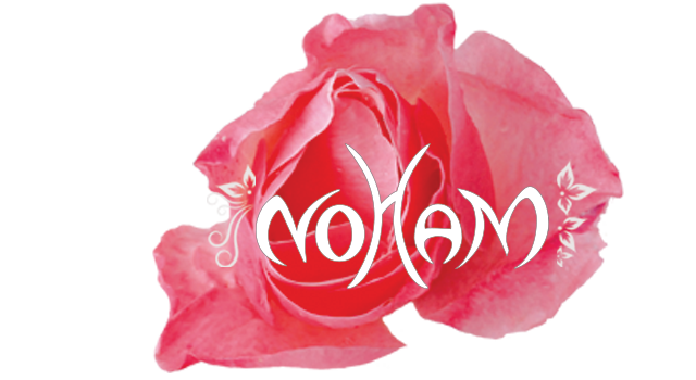 Logo Noham